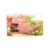 Fresh Fruit Farms Gummies - Strawberry Kiwi 5000mg
